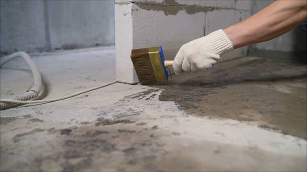 24/7 Emergency Crawl Space Encapsulation experts in Middle Point, OH